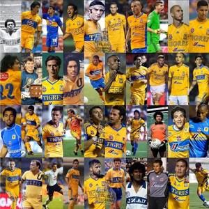 Meet your Posher, Jose